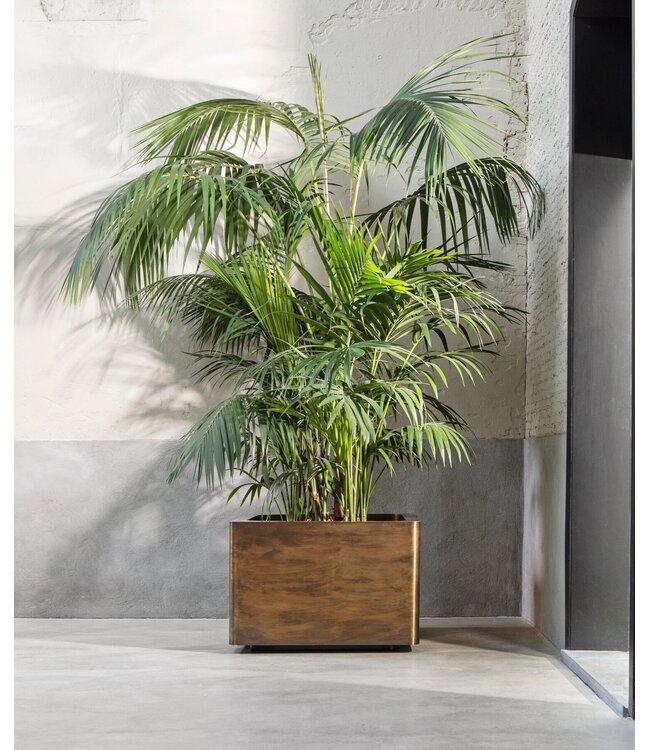 Royal Botania Cuprum cube planter 140x140 cm