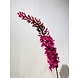 Silk-ka Eremurus Steel Beauty | 107 cm Silk-ka Eremurus Steel Beauty | 107 cm