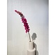 Silk-ka Eremurus Steel Beauty | 107 cm Silk-ka Eremurus Steel Beauty | 107 cm
