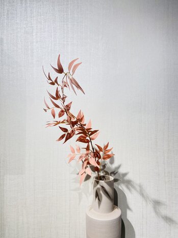 SILK-KA Ruscus rama melocotón | 112cm SILK-KA Ruscus rama melocotón | 112cm