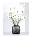 Guaxs Vaas Somba M | Indigo / Smokegrey