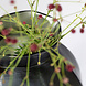 Guaxs Vase Karakol rund | Helles Stahlgrau / Schwarzes Stahlgrau Guaxs Vase Karakol rund | Helles Stahlgrau / Schwarzes Stahlgrau