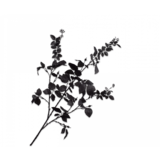 SILK-KA Feuille Branche Noir | 127cm SILK-KA Feuille Branche Noir | 127cm