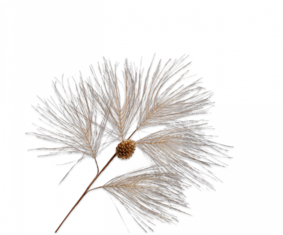 SILK-KA Rama de pino Pino dorado | 149cm SILK-KA Rama de pino Pino dorado | 149cm