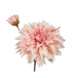 Silk-ka Dahlia Branch Peach | 78 cm Silk-ka Dahlia Branch Peach | 78 cm