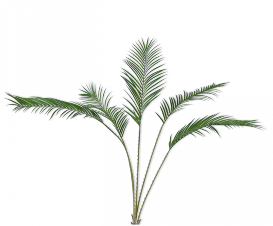 SILK-KA Leaf Branch Palm Green | 147 cm SILK-KA Leaf Branch Palm Green | 147 cm