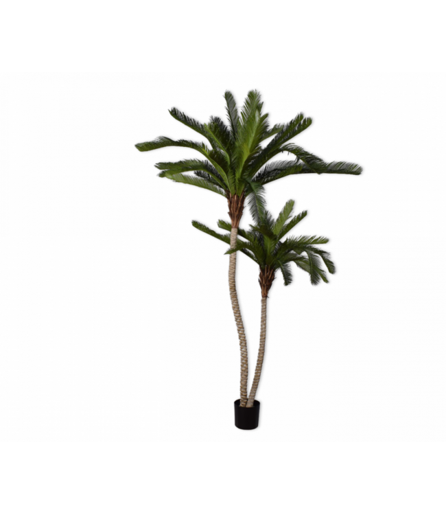 SILK-KA Palm Green | 180 cm