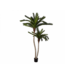 SILK-KA Palm Green | 180 cm