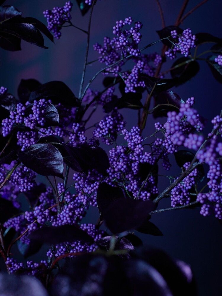 SILK-KA Rama de bayas moradas | 110cm SILK-KA Rama de bayas moradas | 110cm