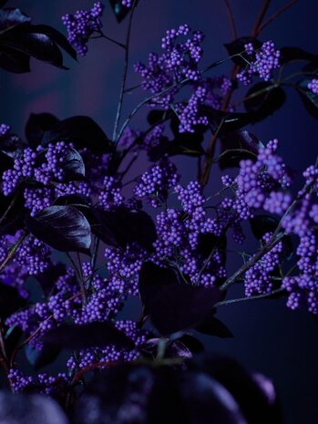 SILK-KA Berry Branch Purple | 110 cm SILK-KA Berry Branch Purple | 110 cm