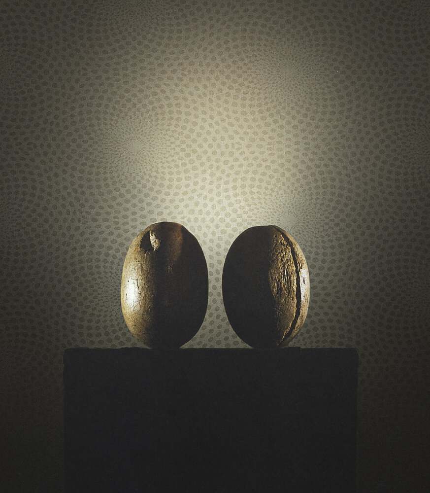 Texam Home Élément de collection Texam | Tournesol EL35 Texam Home Élément de collection Texam | Tournesol EL35