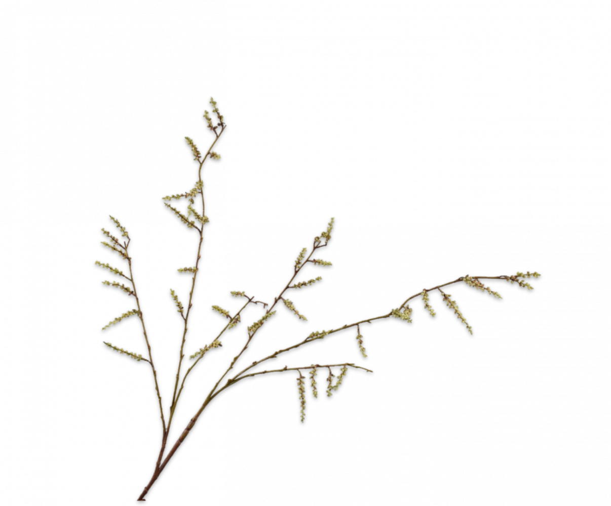 SILK-KA Willow Branch Green | 127 cm SILK-KA Willow Branch Green | 127 cm