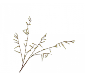 SILK-KA Ramo di salice verde | 127 cm SILK-KA Ramo di salice verde | 127 cm