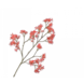 Silk-ka Campanula Branch Laks | 113 cm Silk-ka Campanula Branch Laks | 113 cm