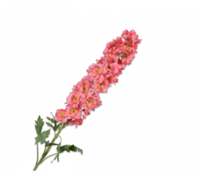 SILK-KA Delphinium Stem Pink | 114 cm