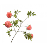 SILK-KA Blossom Branche Pêche | 149cm SILK-KA Blossom Branche Pêche | 149cm