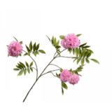 SILK-KA flor rama rosa | 149cm SILK-KA flor rama rosa | 149cm