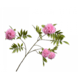 SILK-KA Bloesem Tak Roze | 149 cm SILK-KA Bloesem Tak Roze | 149 cm