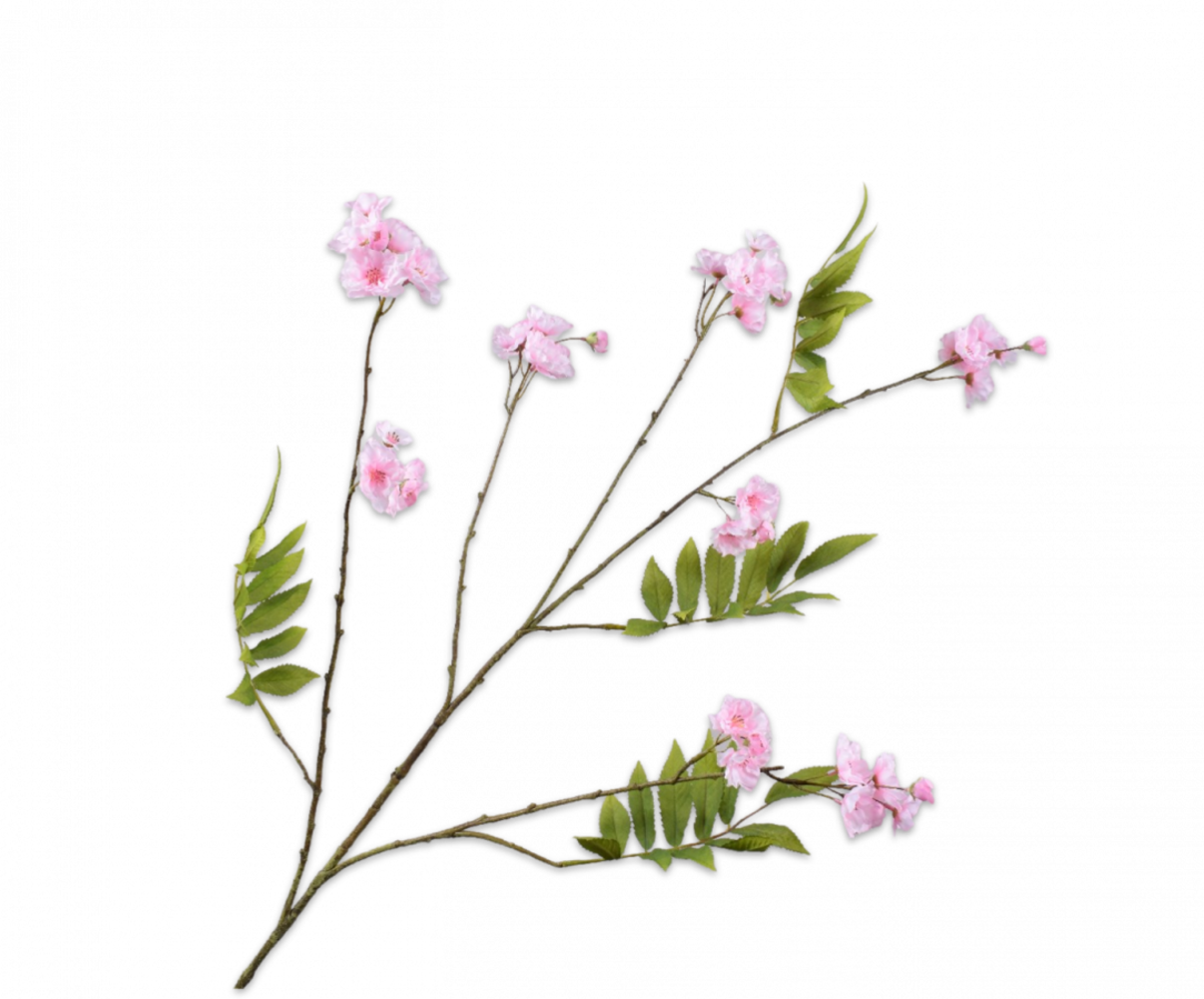 SILK-KA Blossom Branch Pink LT | 150cm