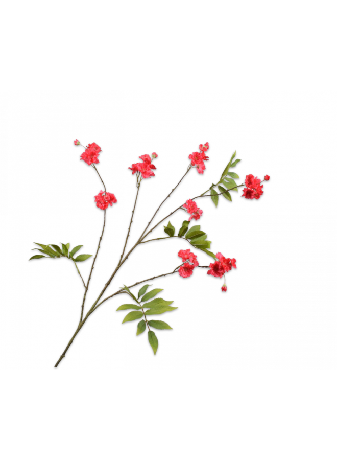 Blütenzweig Schönheit | 150cm