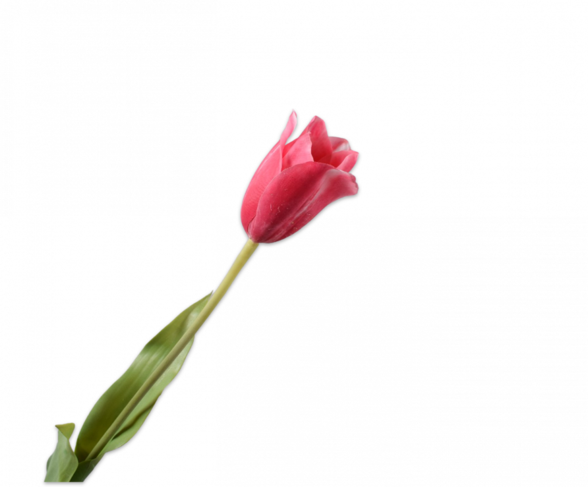SILK-KA Tulipan Stem Beauty | 72 cm
