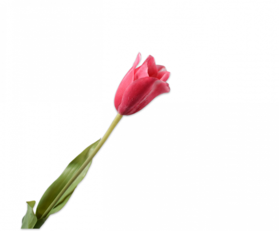 SILK-KA Tulipan Stem Beauty | 72 cm