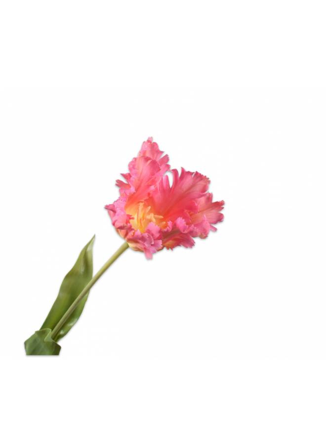Tulip Stem Fuchsia | 71 cm