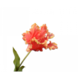 Silk-ka Tulp Steel Roze / Geel | 71 cm Silk-ka Tulp Steel Roze / Geel | 71 cm