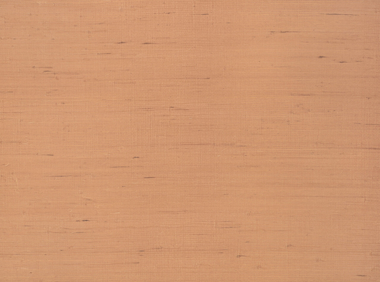 Kirkby Design Wandbeläge Band 1 | Lichtung Sienna Kirkby Design Wandbeläge Band 1 | Lichtung Sienna