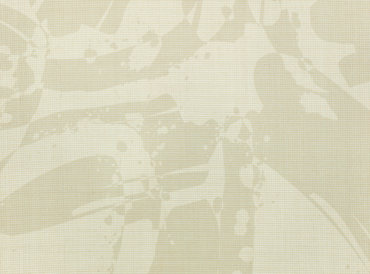 Kirkby Design Wandbeläge Band 1 | Vandalen-Wandbild Muschel Kirkby Design Wandbeläge Band 1 | Vandalen-Wandbild Muschel