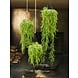 SILK-KA Plant Hang Green | 150cm SILK-KA Plant Hang Green | 150cm