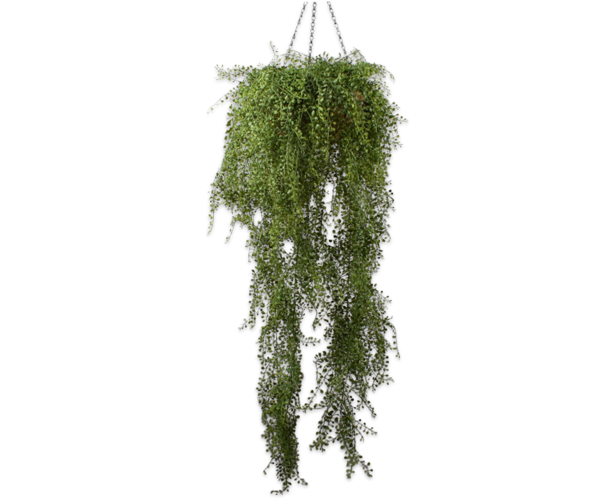 SILK-KA Planta Cuelgue Verde | 150cm SILK-KA Planta Cuelgue Verde | 150cm