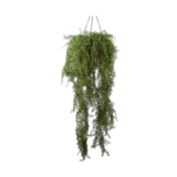 SILK-KA Plant Hang Green | 150cm SILK-KA Plant Hang Green | 150cm