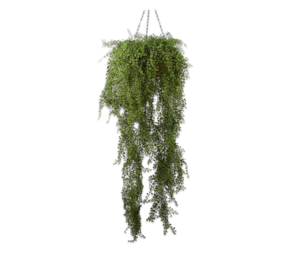 SILK-KA Planta Cuelgue Verde | 150cm SILK-KA Planta Cuelgue Verde | 150cm