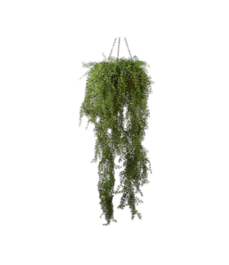 SILK-KA Plant Hang Green | 150cm