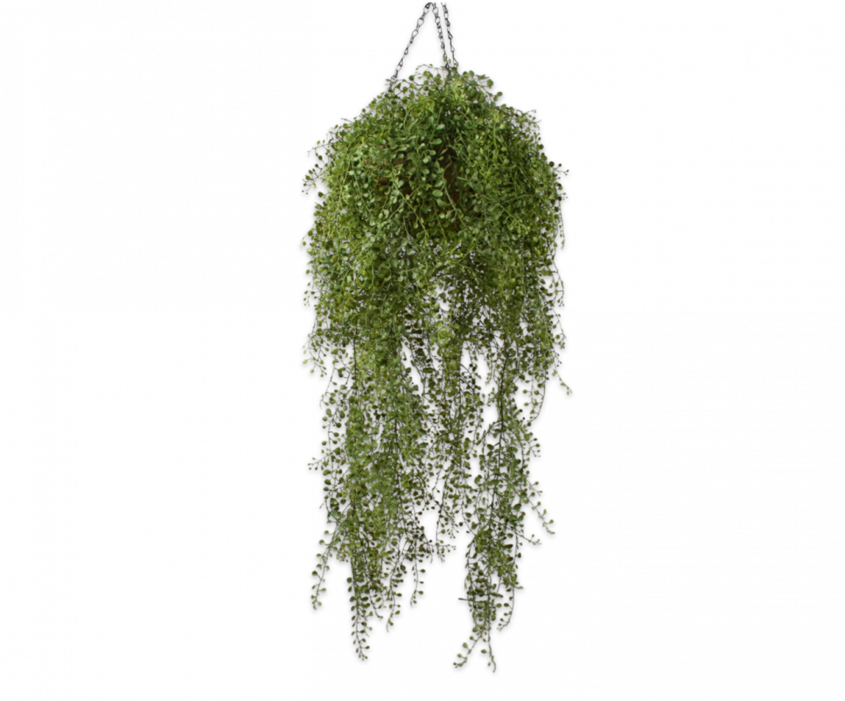 SILK-KA Plant Hang Green | 120cm SILK-KA Plant Hang Green | 120cm