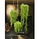 SILK-KA Plant Hang Groen | 60 cm SILK-KA Plant Hang Groen | 60 cm