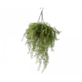 SILK-KA pianta appendere verde | 60 cm SILK-KA pianta appendere verde | 60 cm