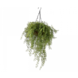 SILK-KA Plant Hang Groen | 60 cm SILK-KA Plant Hang Groen | 60 cm