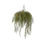 SILK-KA Plant Hang Green | 60cm SILK-KA Plant Hang Green | 60cm