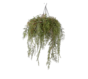 SILK-KA Planta Cuelgue Verde | 60cm SILK-KA Planta Cuelgue Verde | 60cm