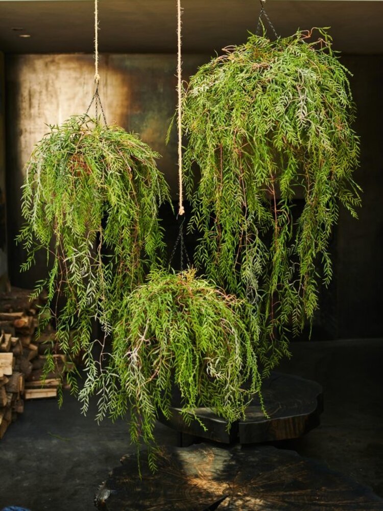 SILK-KA Plant Hang Groen | 120 cm SILK-KA Plant Hang Groen | 120 cm