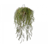 SILK-KA Plant Hang Green | 120cm SILK-KA Plant Hang Green | 120cm