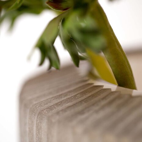 Guaxs Vaas Omar S | Smokegrey Guaxs Vaas Omar S | Smokegrey