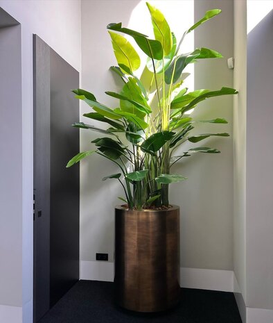 Eichholtz Planter Jasper Round High | Vintage Brass Finish Eichholtz Planter Jasper Round High | Vintage Brass Finish