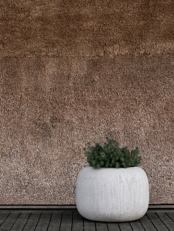 DOMANI MÉLIDES | Cemento DOMANI MÉLIDES | Cemento