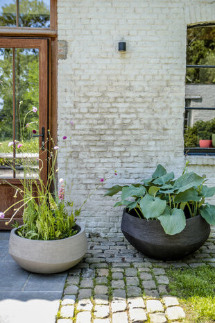 DOMANI ATLÁNTIDA | Negro natural DOMANI ATLÁNTIDA | Negro natural