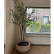 DOMANI ATLANTIS | Natural White DOMANI ATLANTIS | Natural White