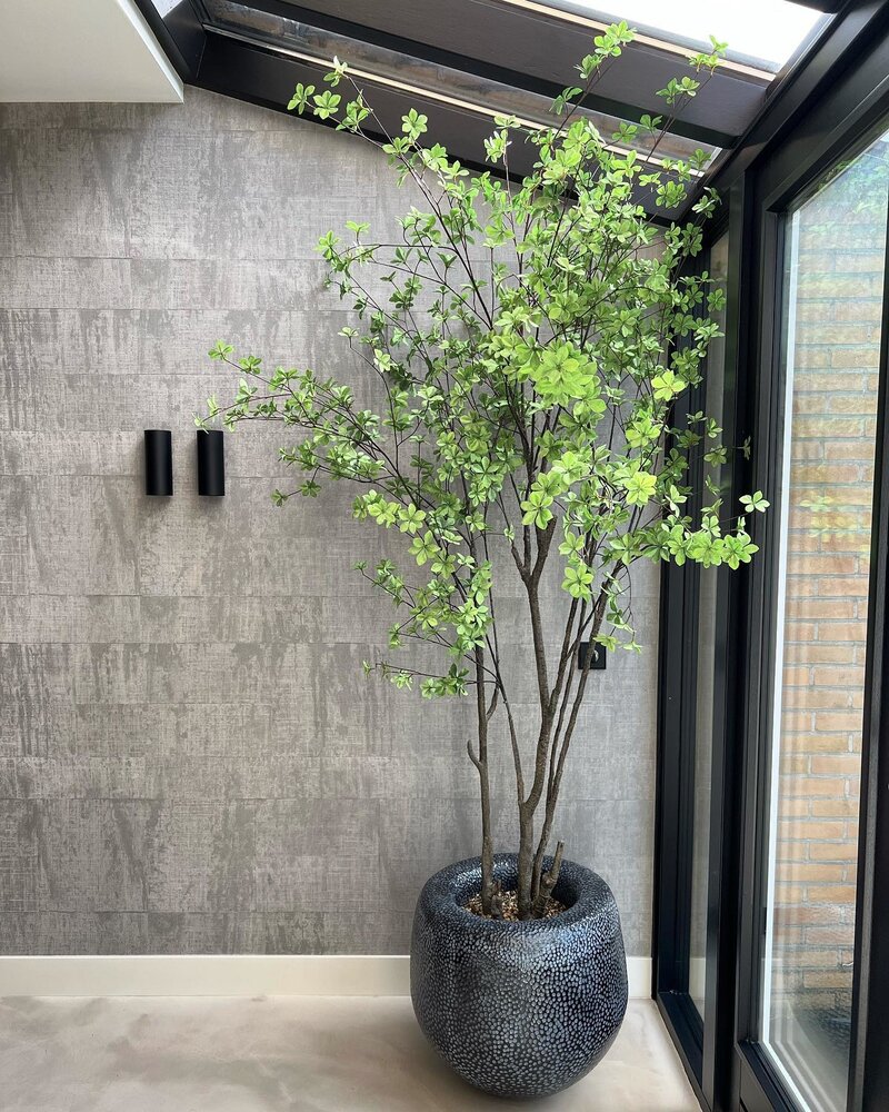 DOMANI BATUR | Schwarz Metallic DOMANI BATUR | Schwarz Metallic