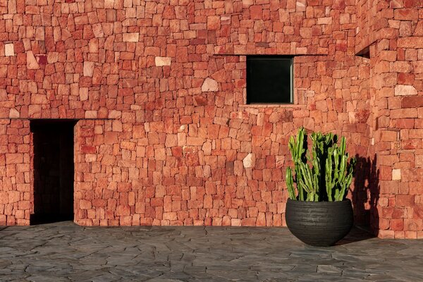 DOMANI WIEN | Natursvart 50